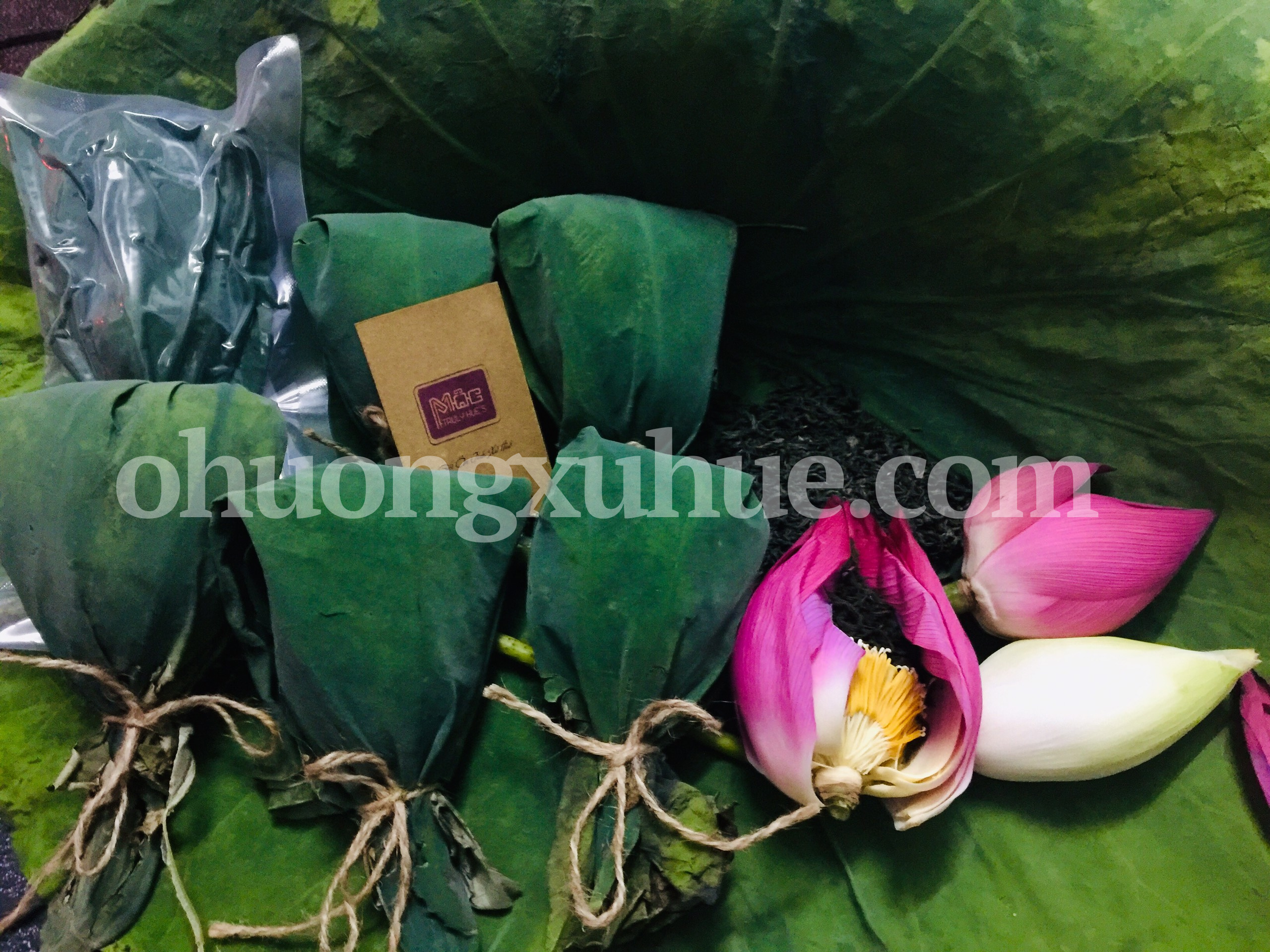 Trà Sen Huế